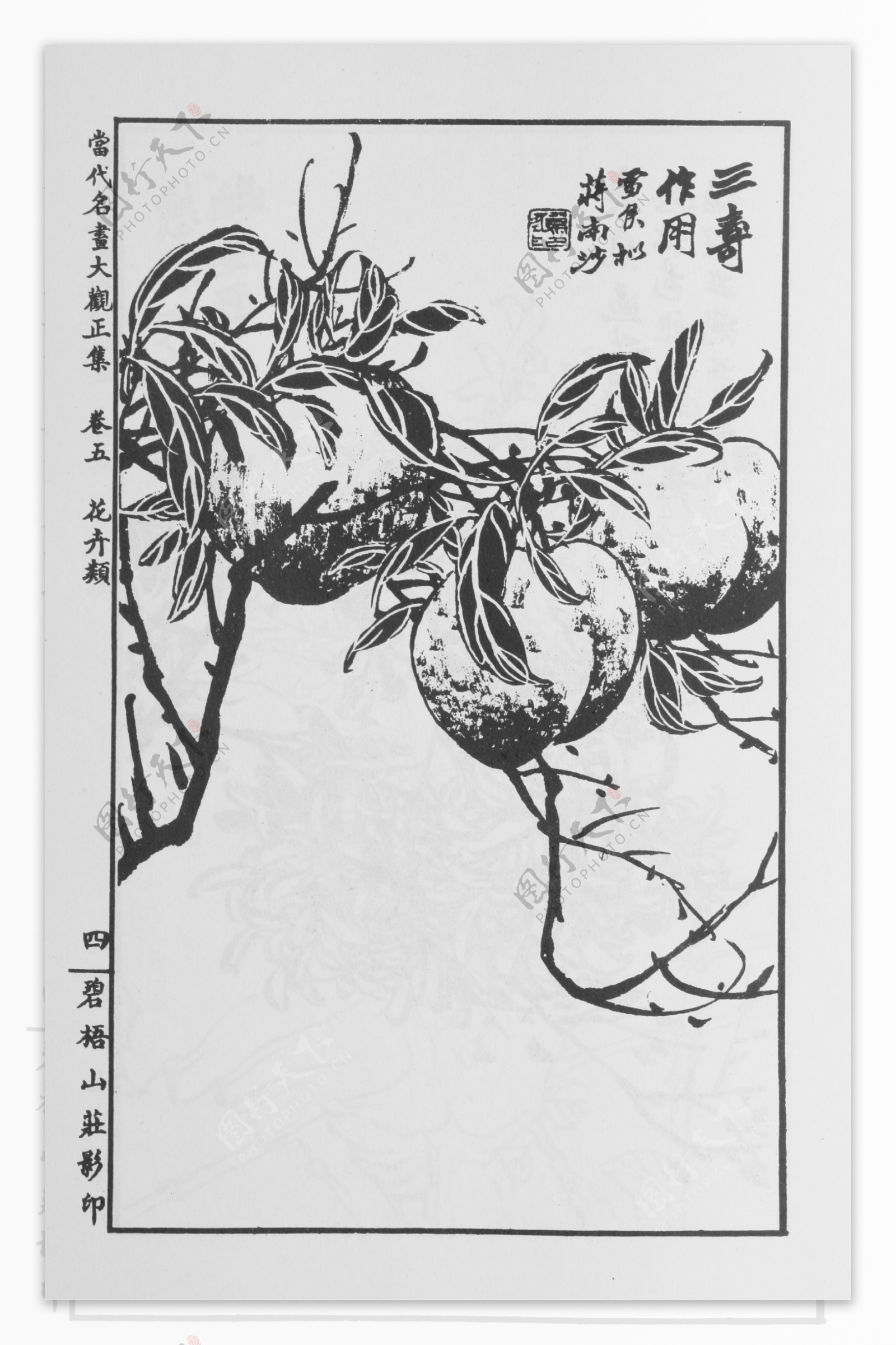 花卉画中国画当代名画大观正集15