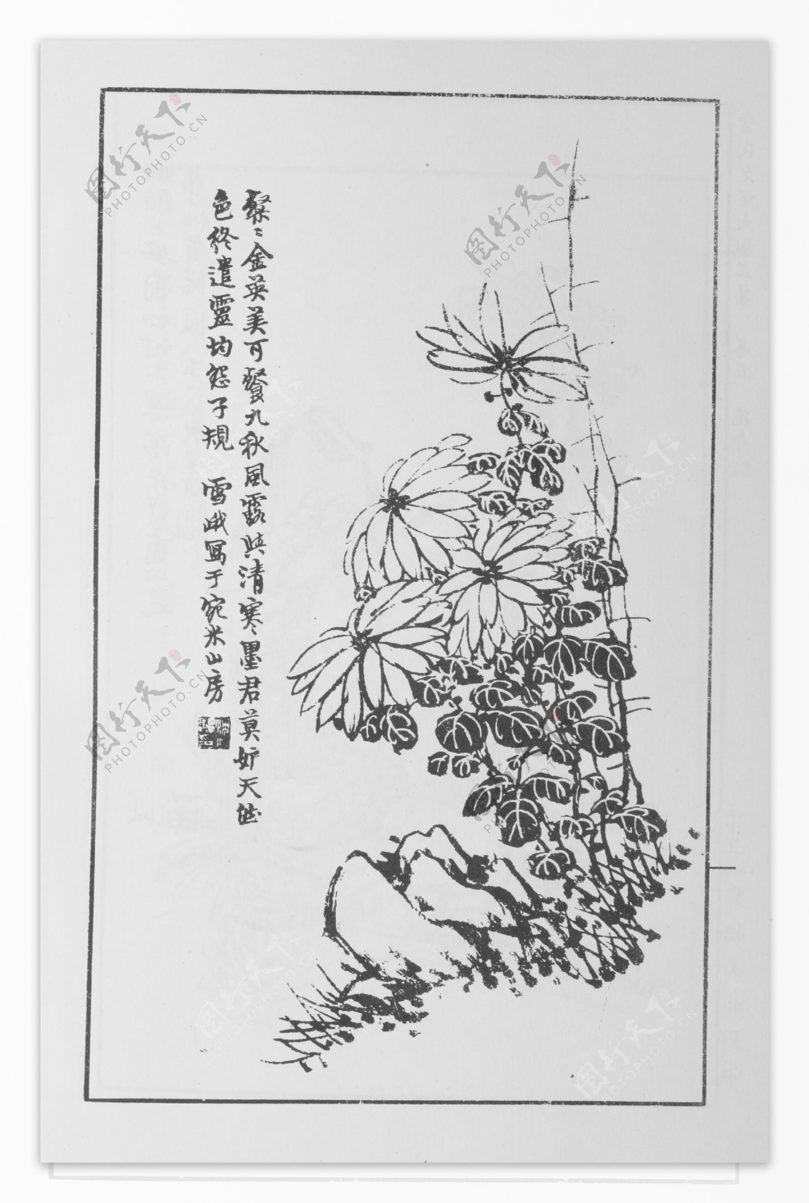 花卉画中国画当代名画大观正集60