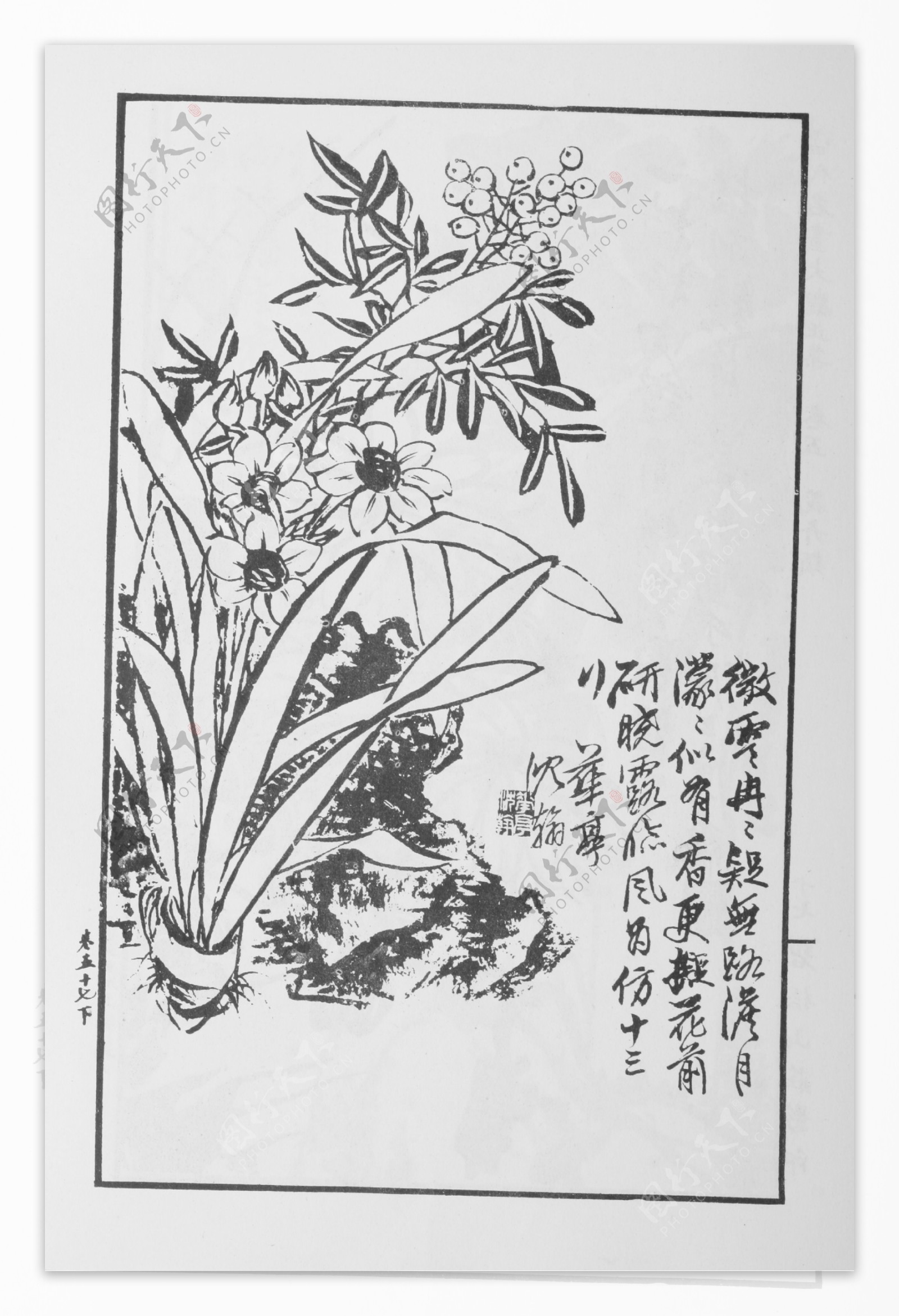 花卉画中国画当代名画大观正集75