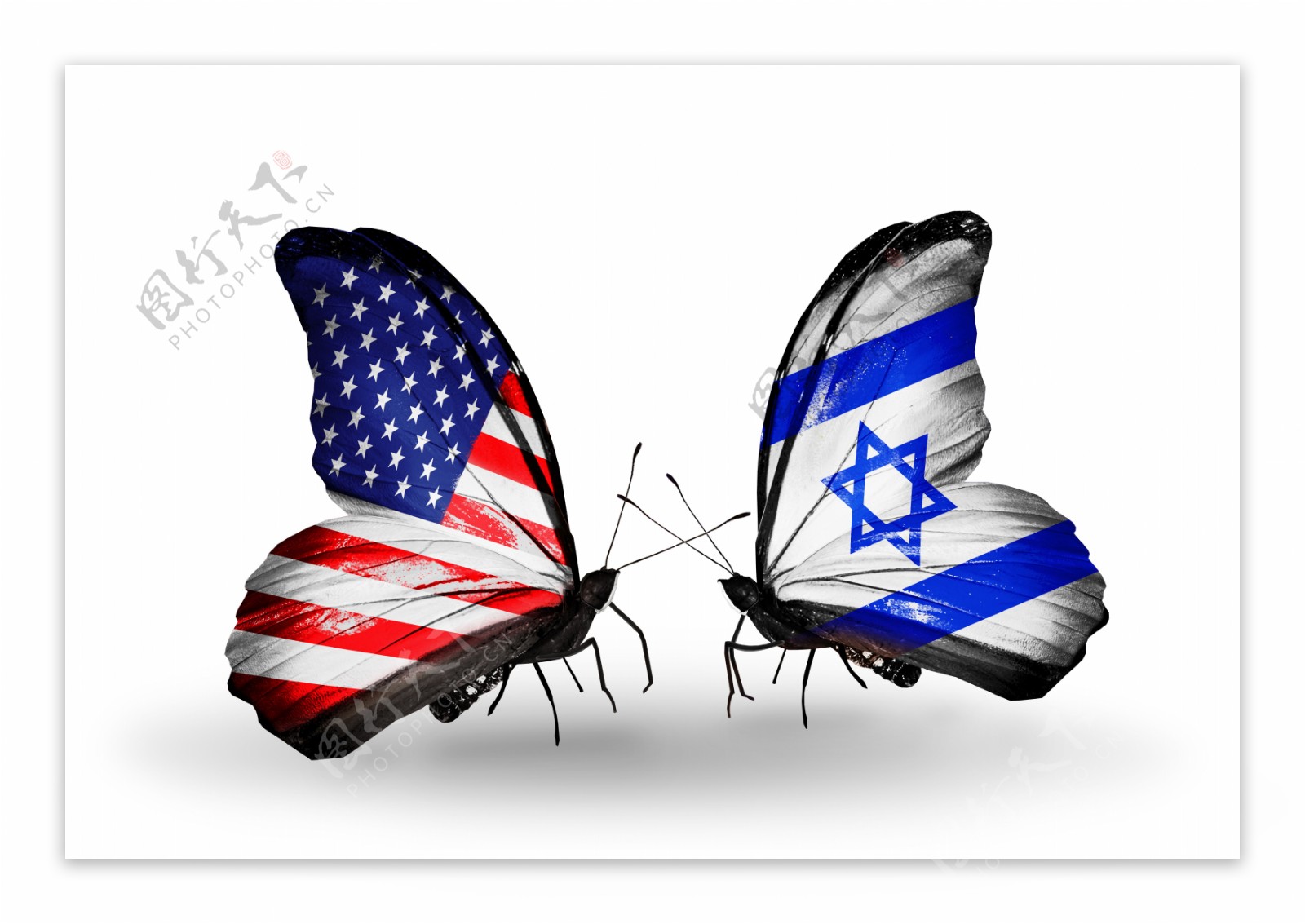 美国国旗与以色列国旗