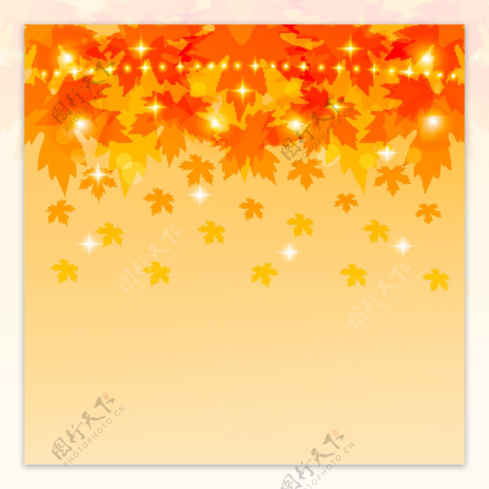 秋季枫叶图片背景