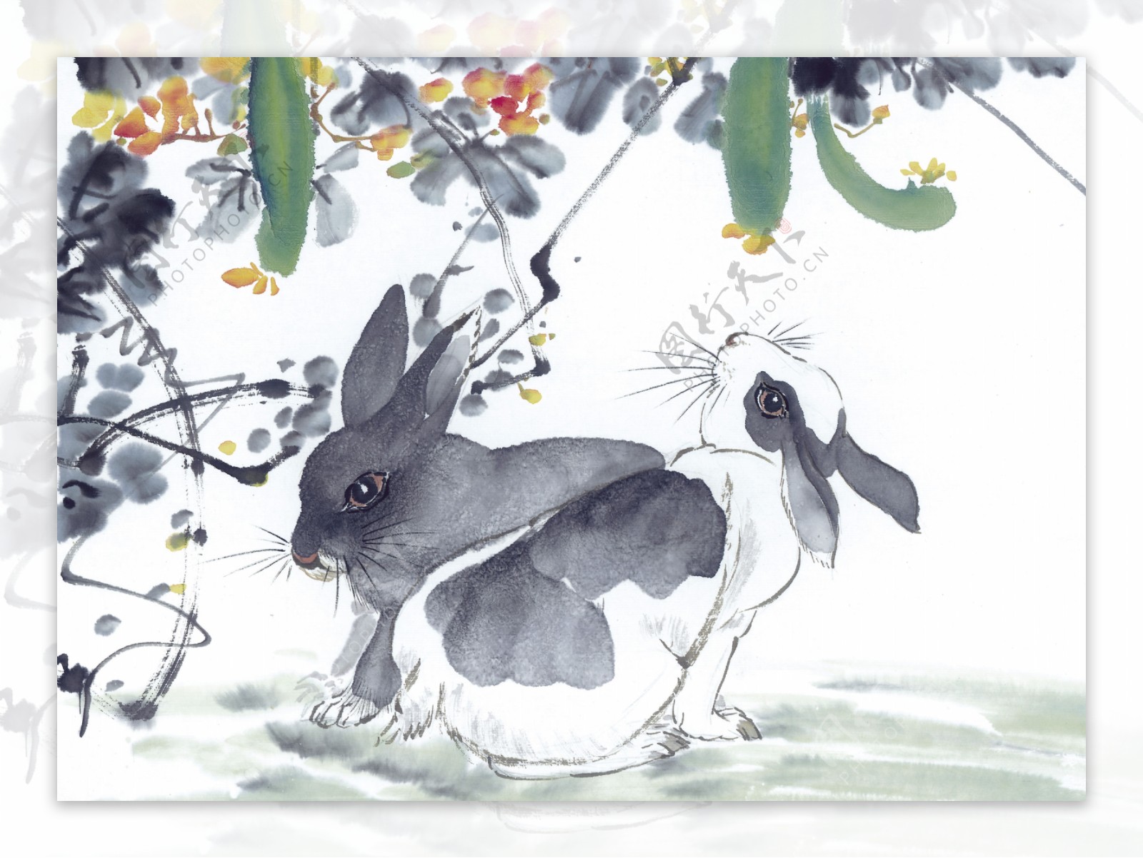 兔子写意动物画国画0077