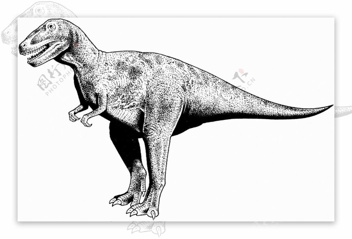 恐龙素描图片素材-编号26392132-图行天下