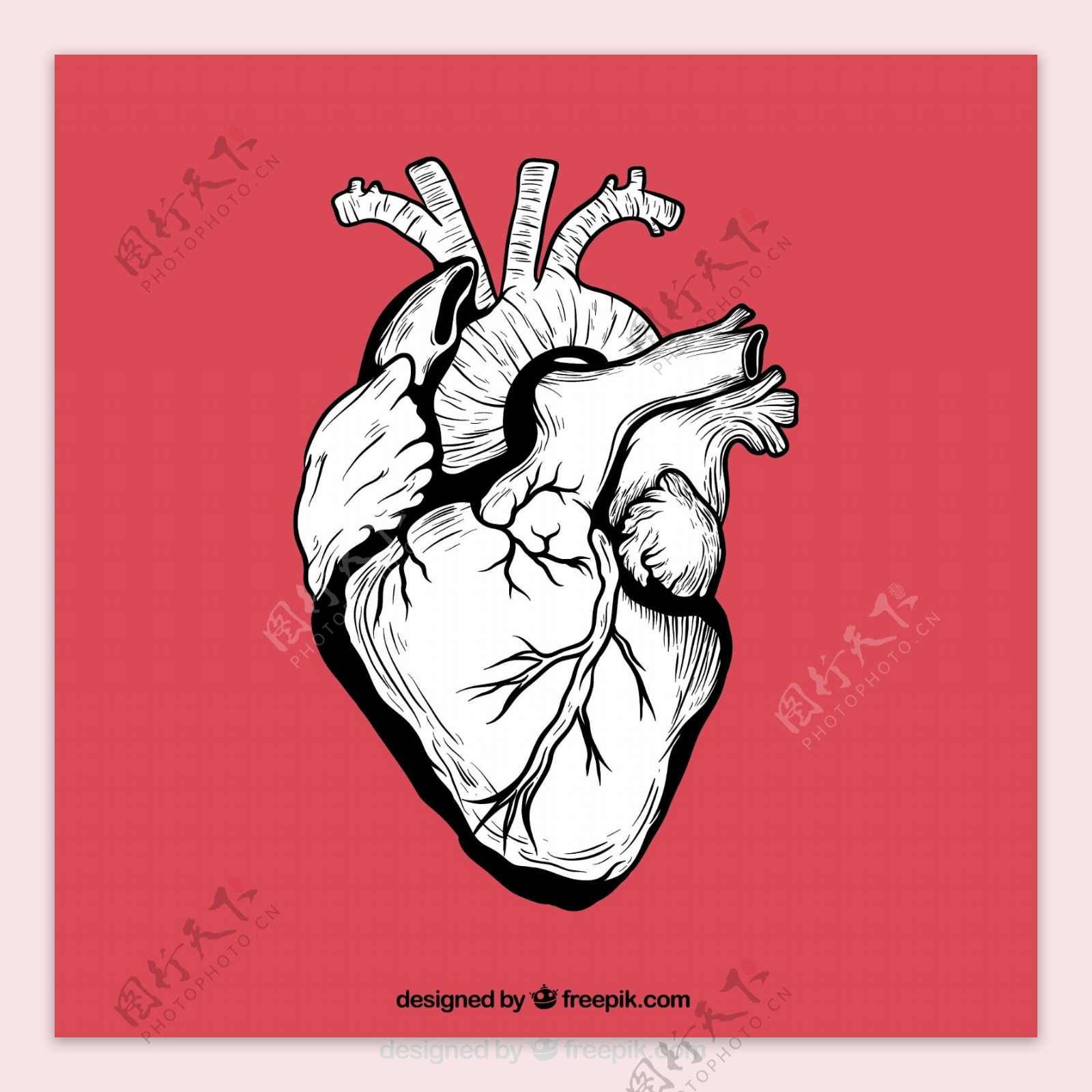 手绘心脏设计矢量素材