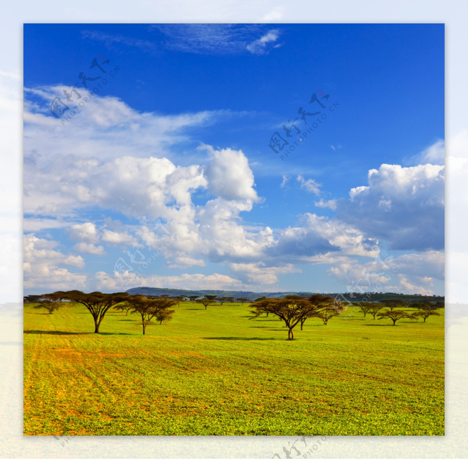 非洲草原风光高清图片