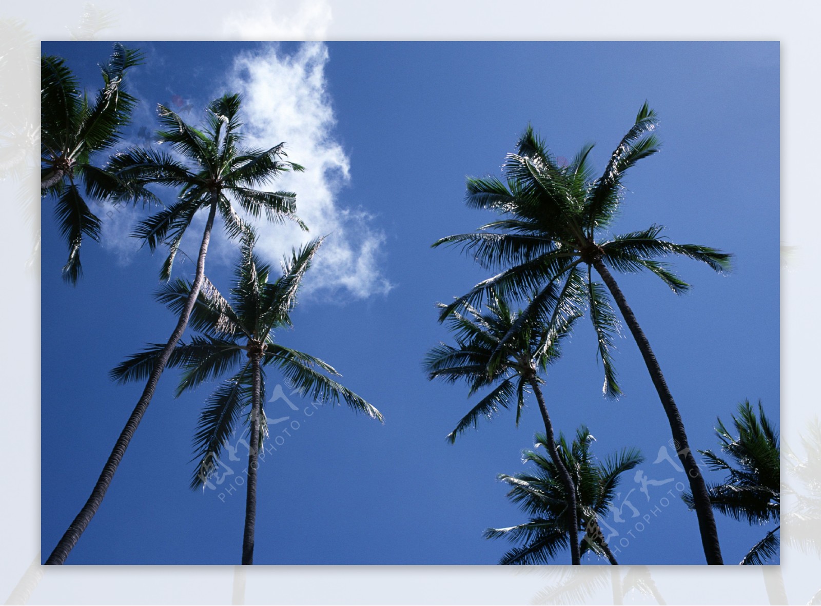 夏威夷风景摄影