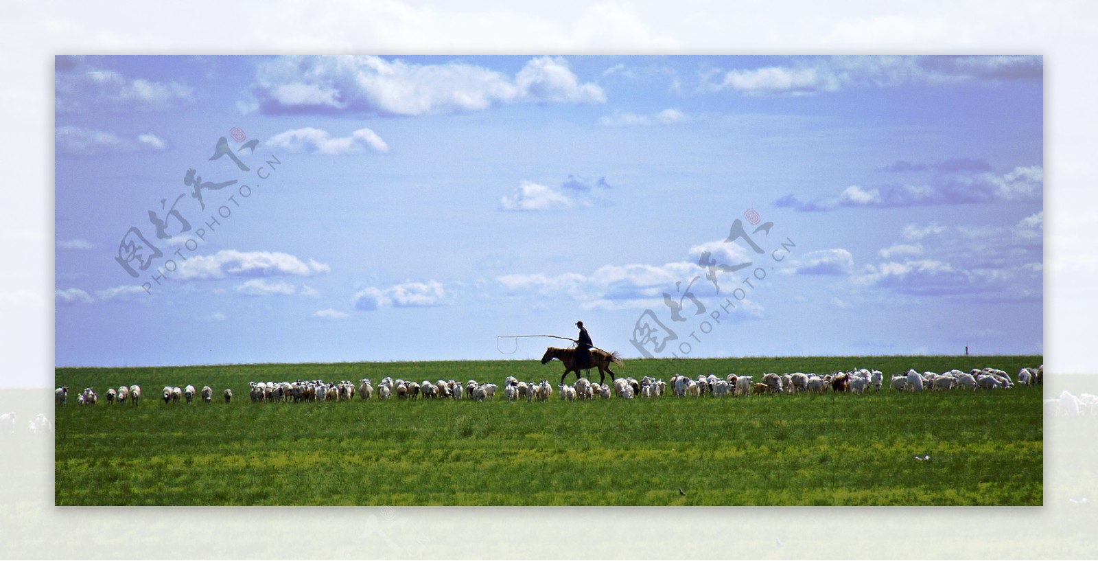 草原风景与羊群