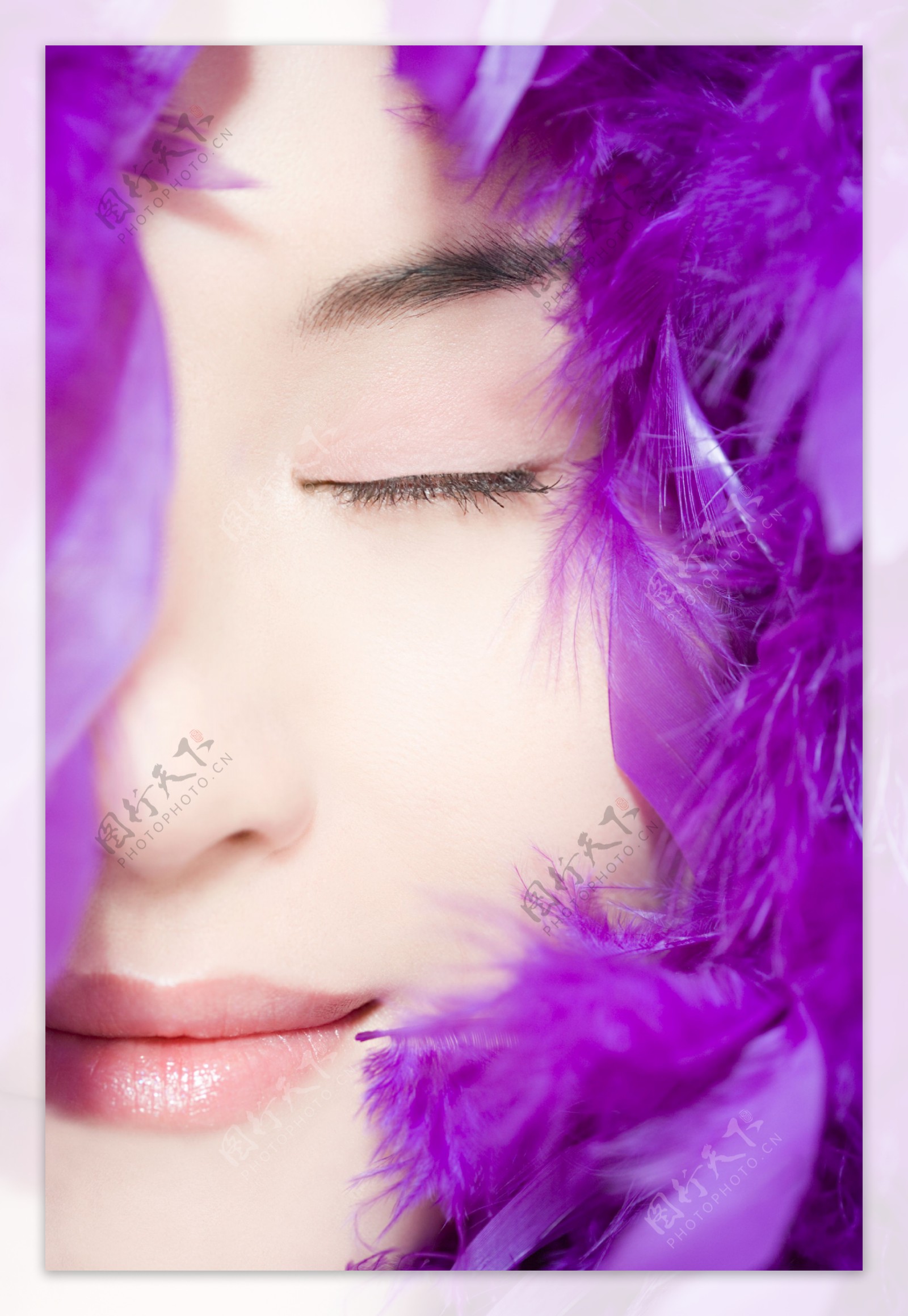 紫色羽毛包裹美女面部特写图片