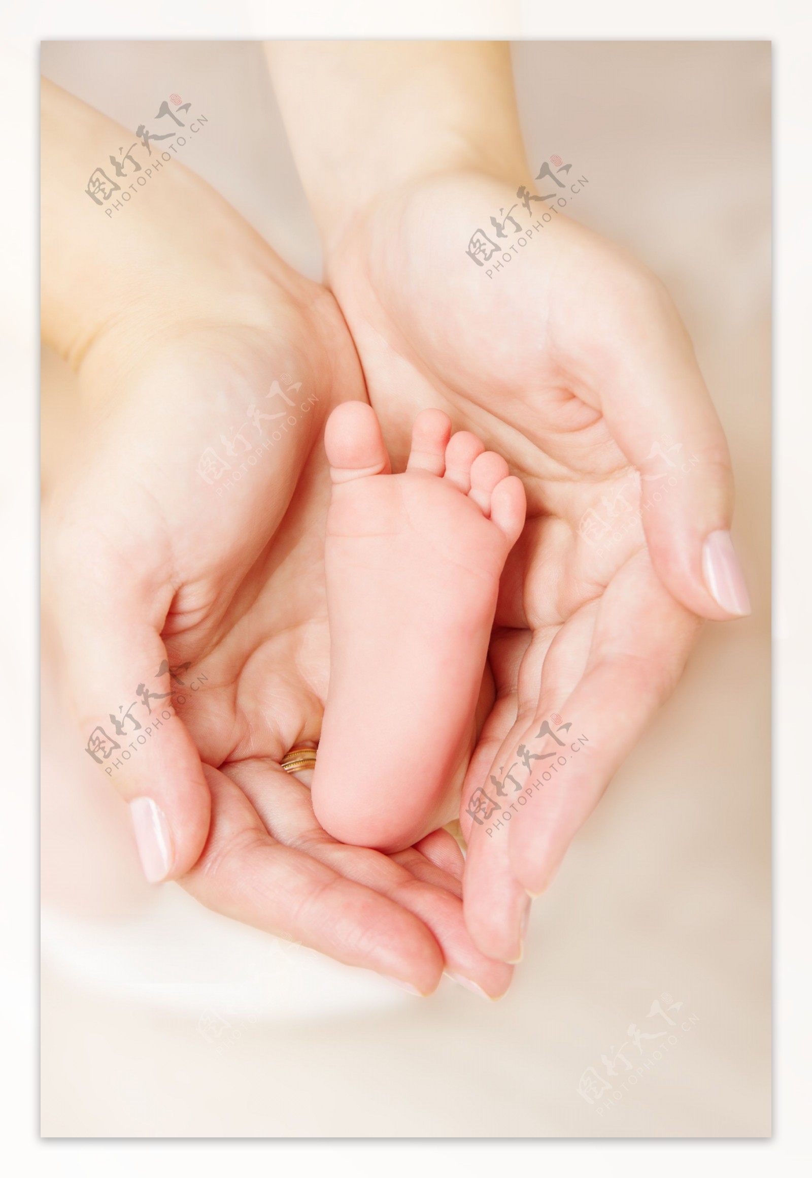 手中的嬰兒腳丫图片