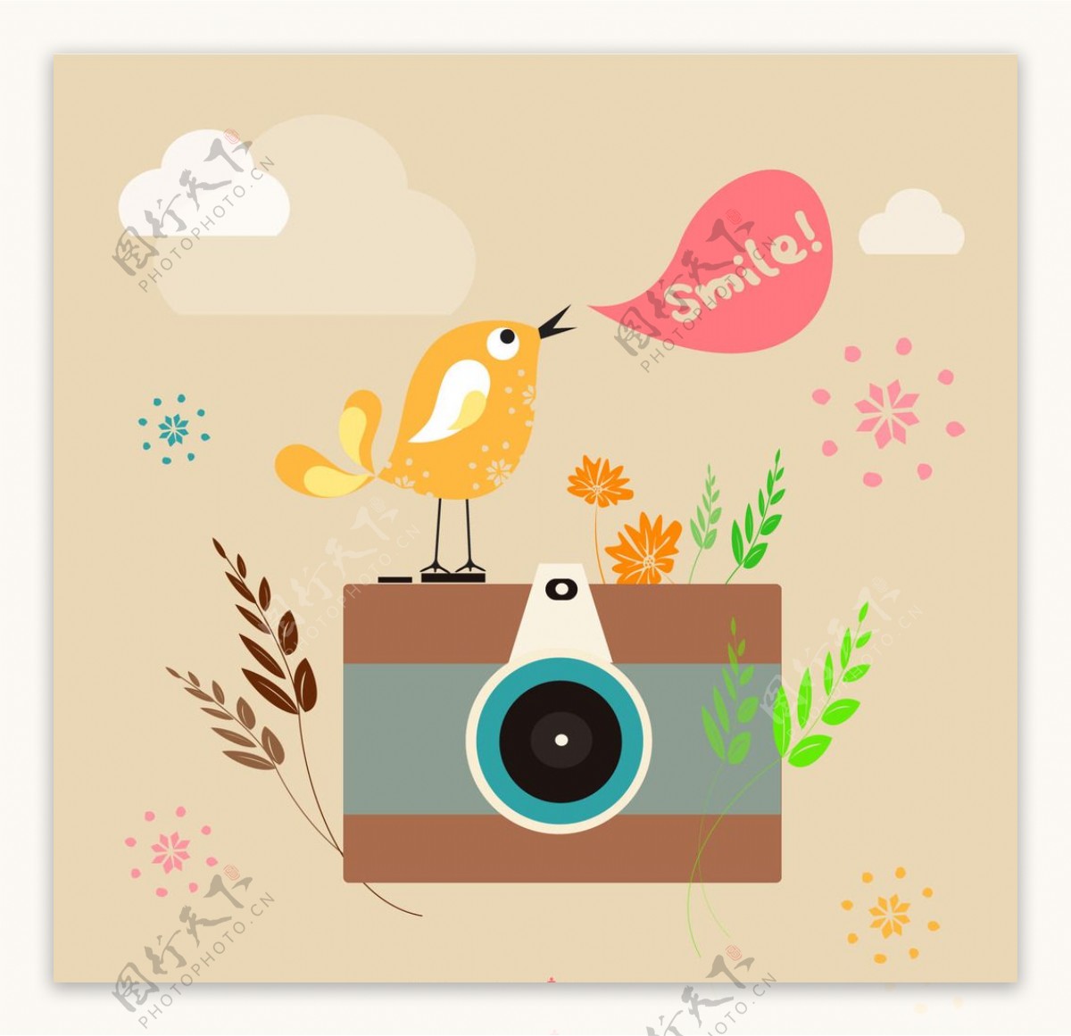 小鸟相机插画