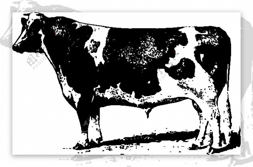 牛的剪辑艺术10