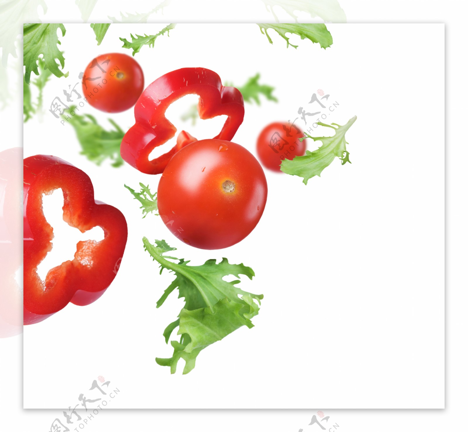 新鲜辣椒与番茄图片