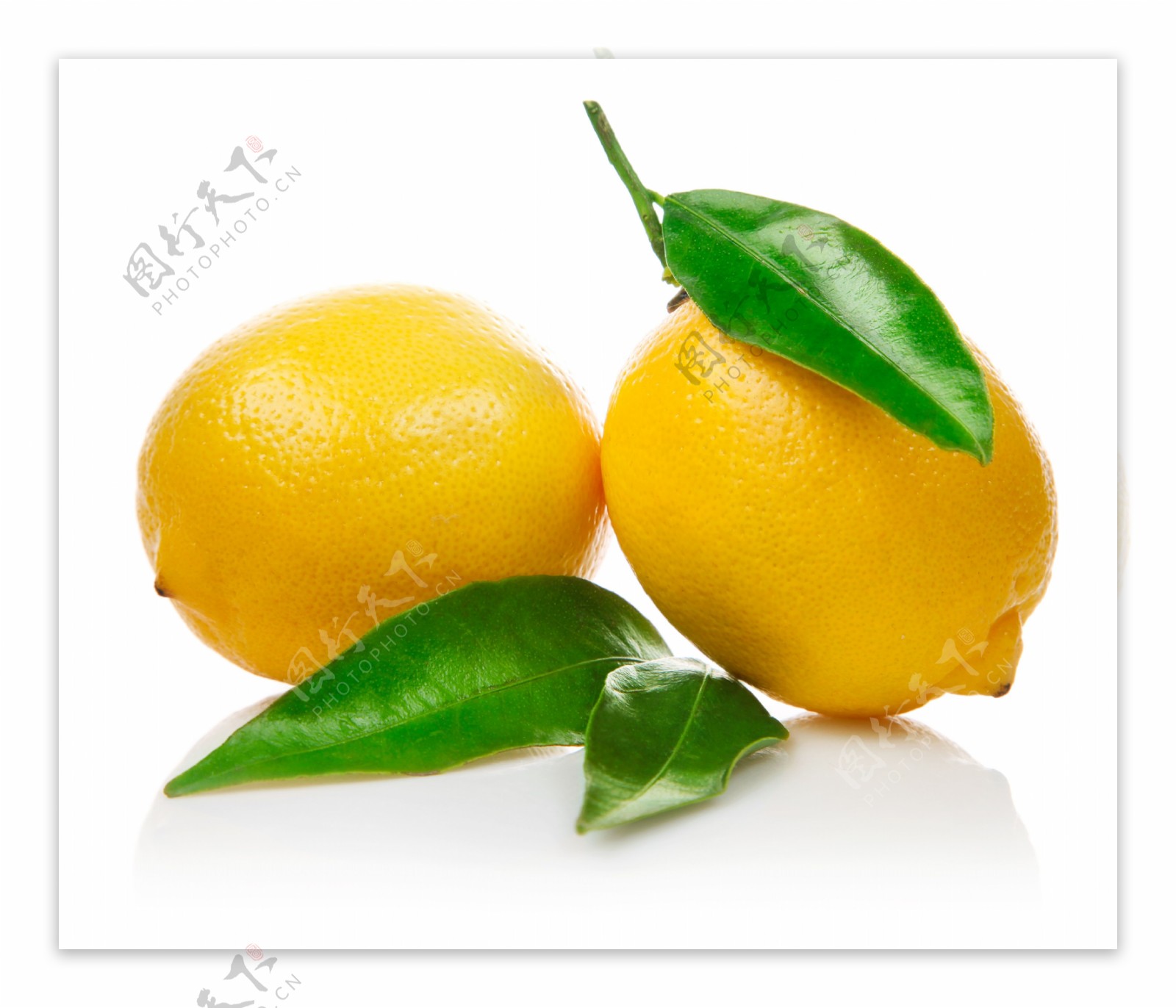 新鲜的柠檬摄影图片