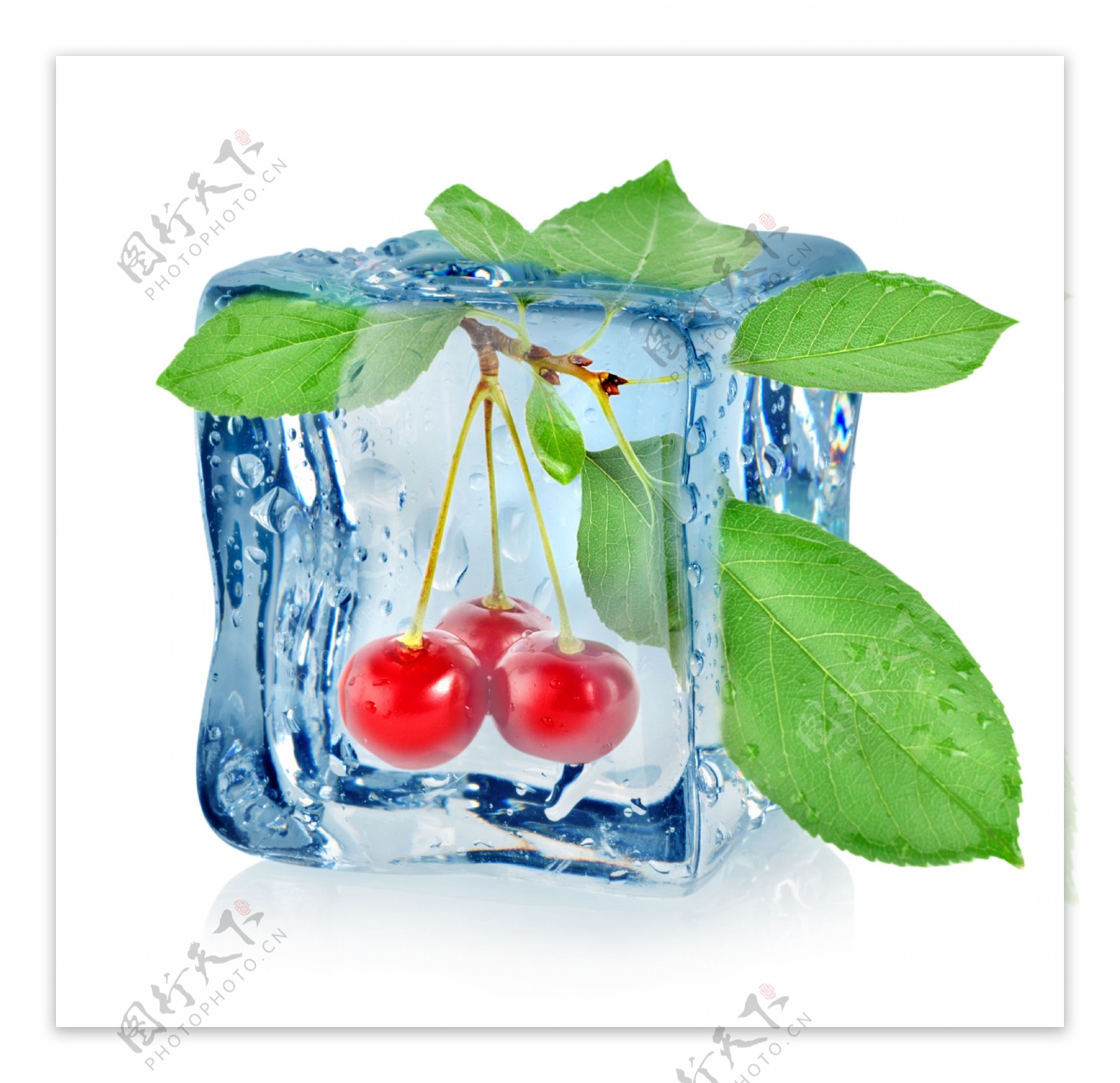 冰冻的樱桃图片