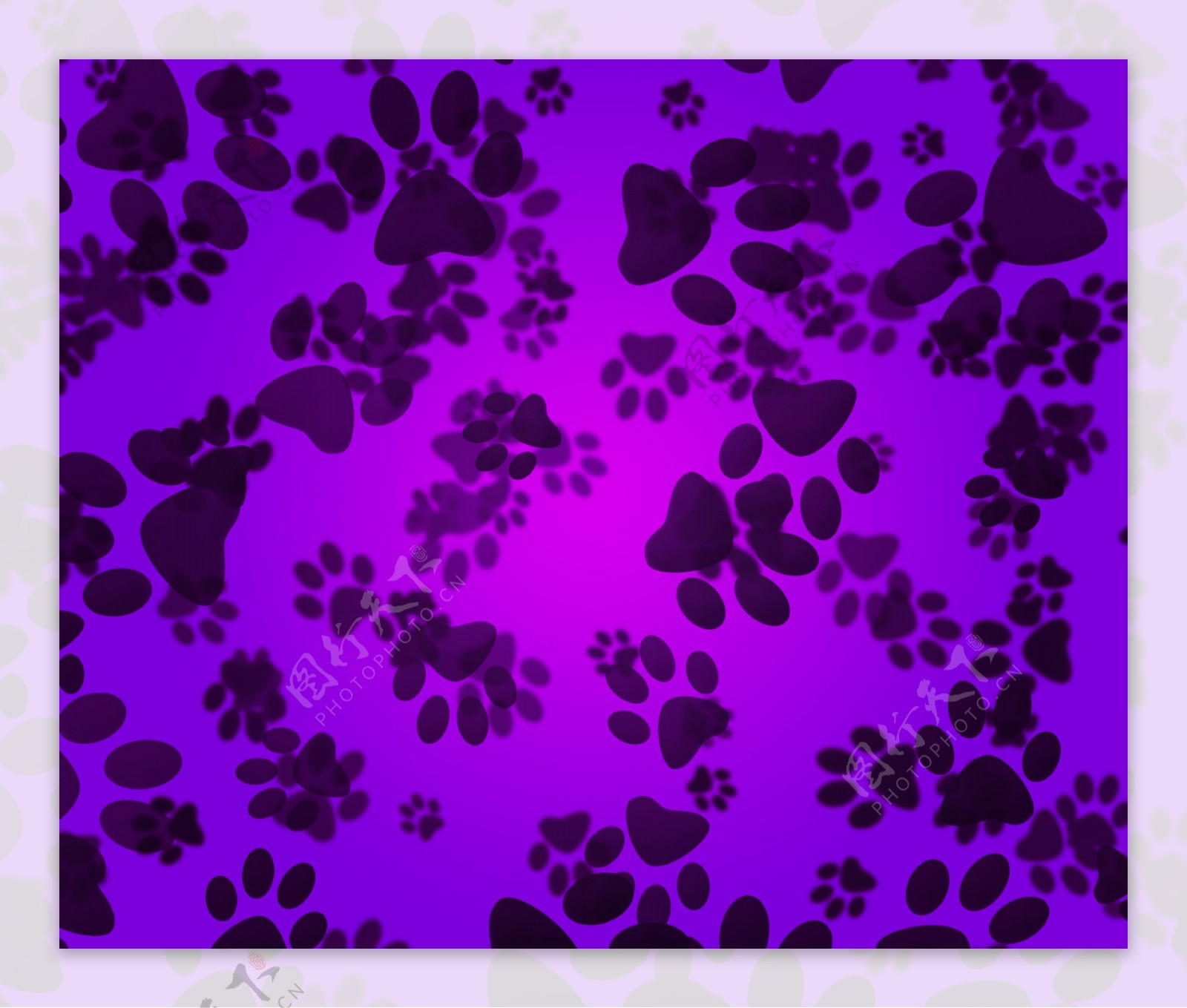 狗爪子紫色背景