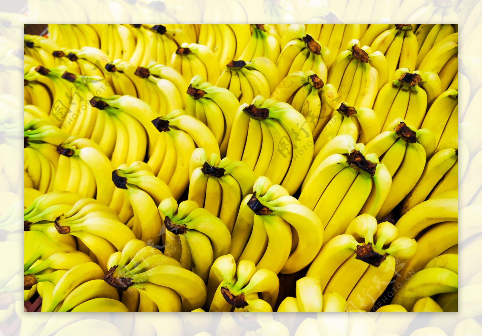 香蕉背景摄影图片