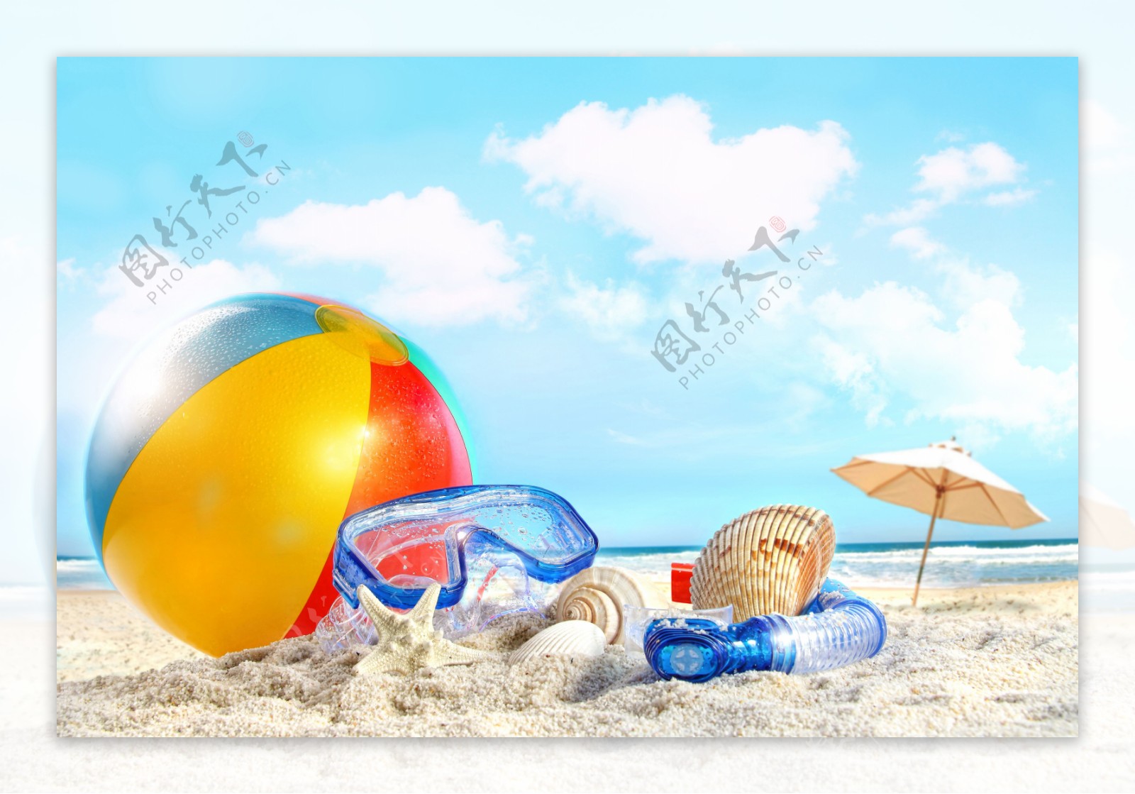 沙滩上的球与贝壳