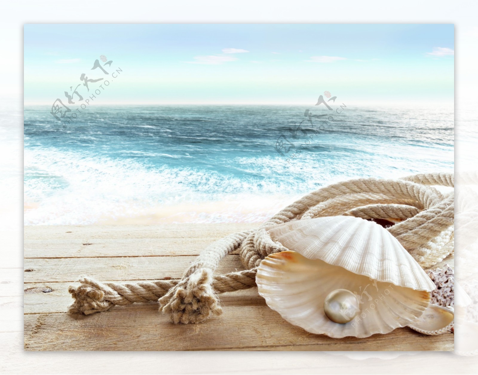 海滩的麻绳与贝壳