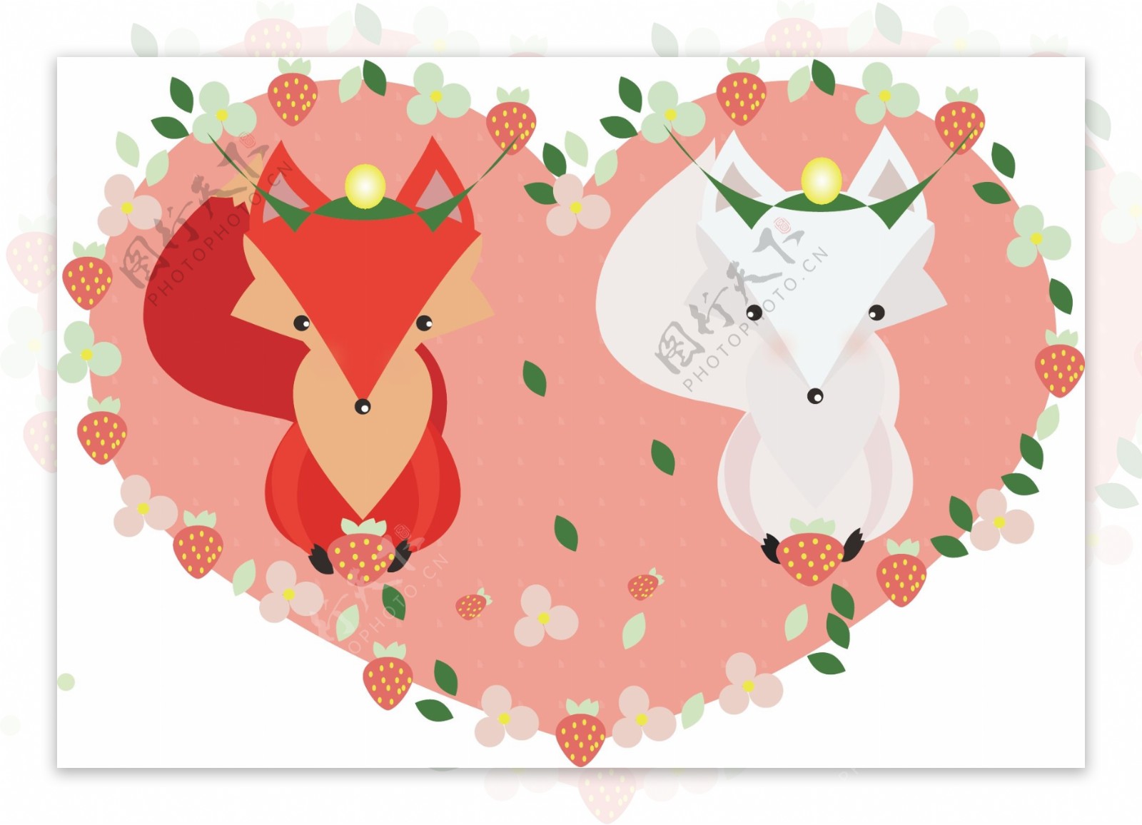 结婚的白狐狸与红狐狸