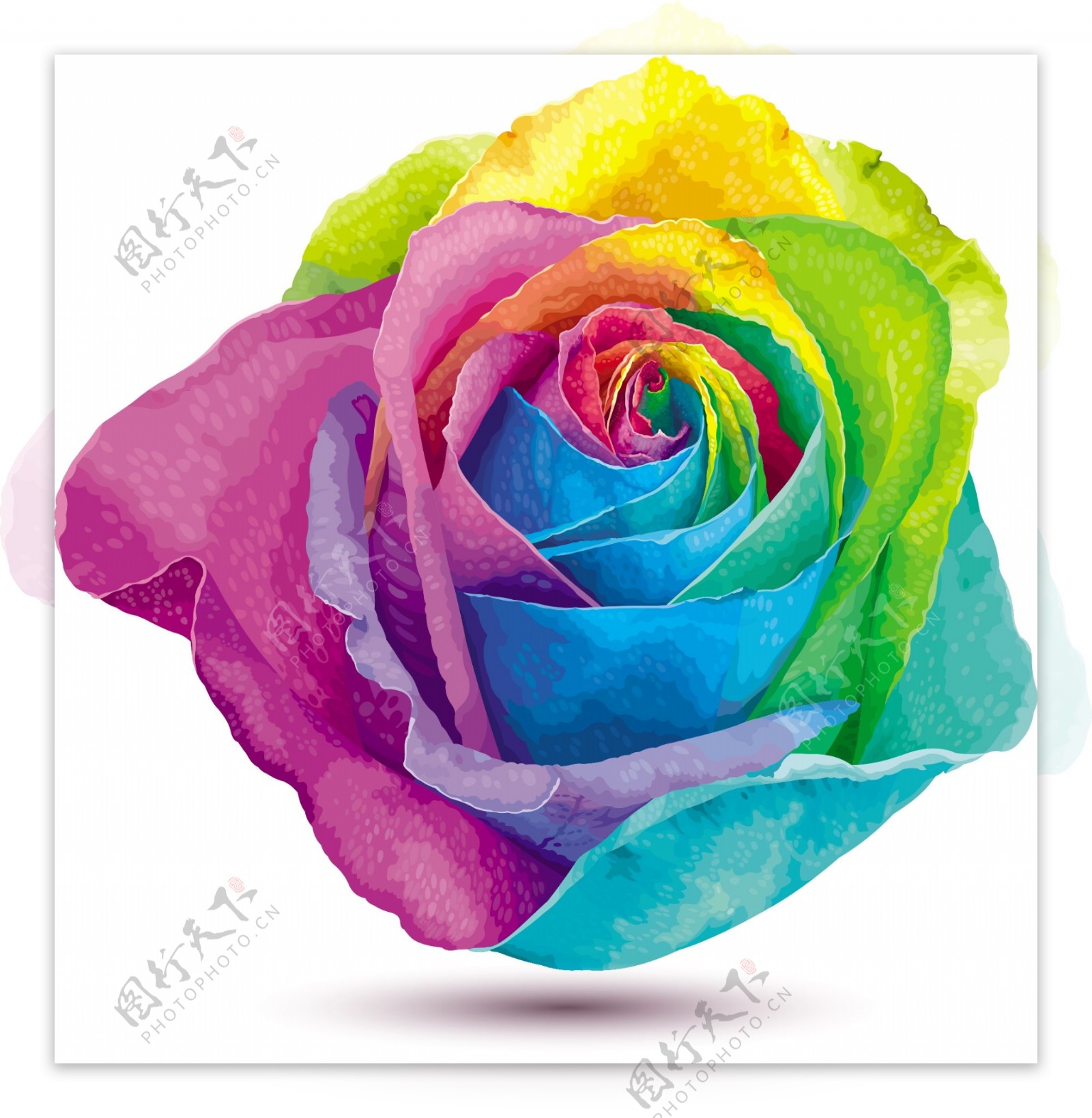 彩虹色玫瑰花矢量素材图片