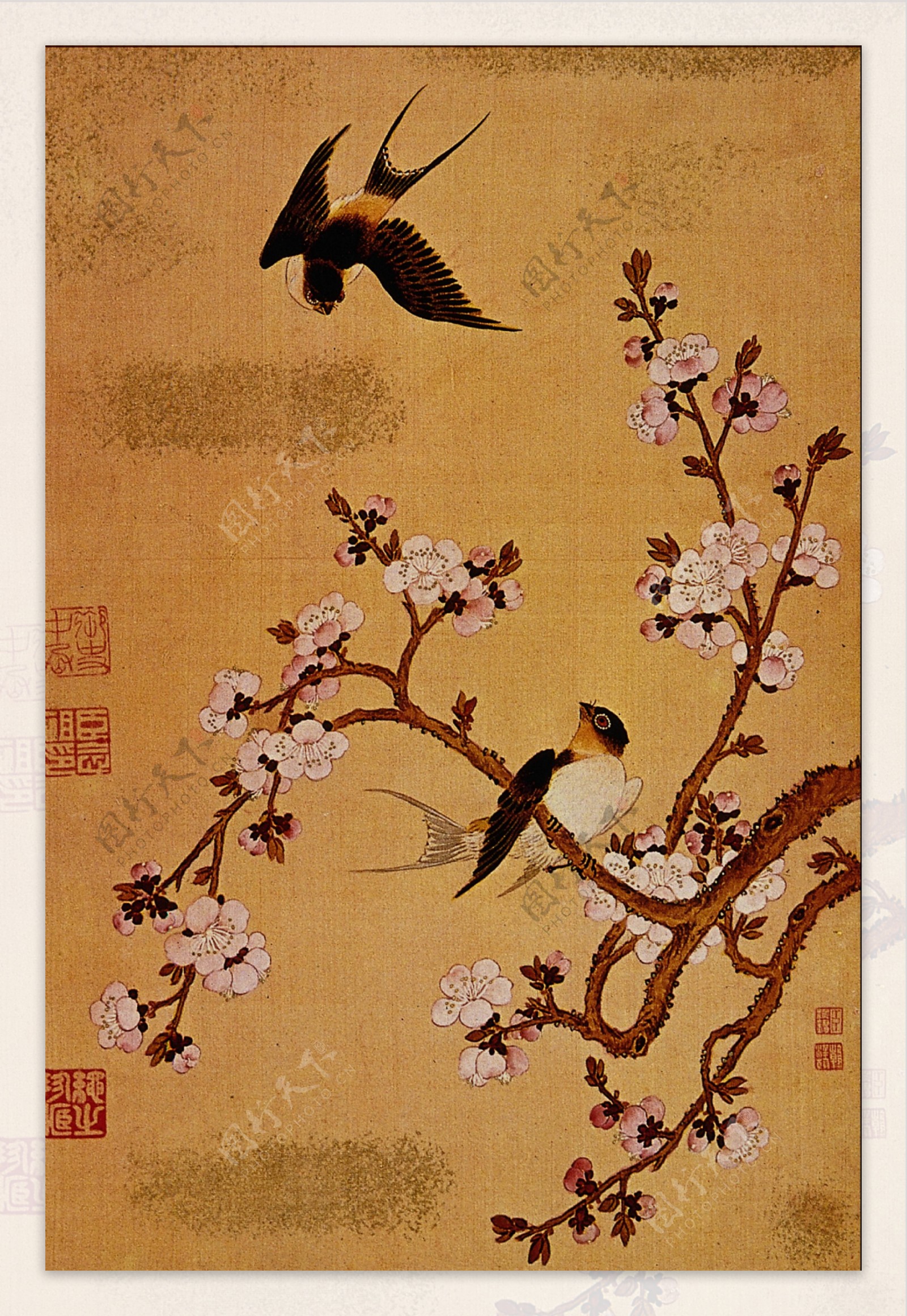 花鸟画中国古画0013