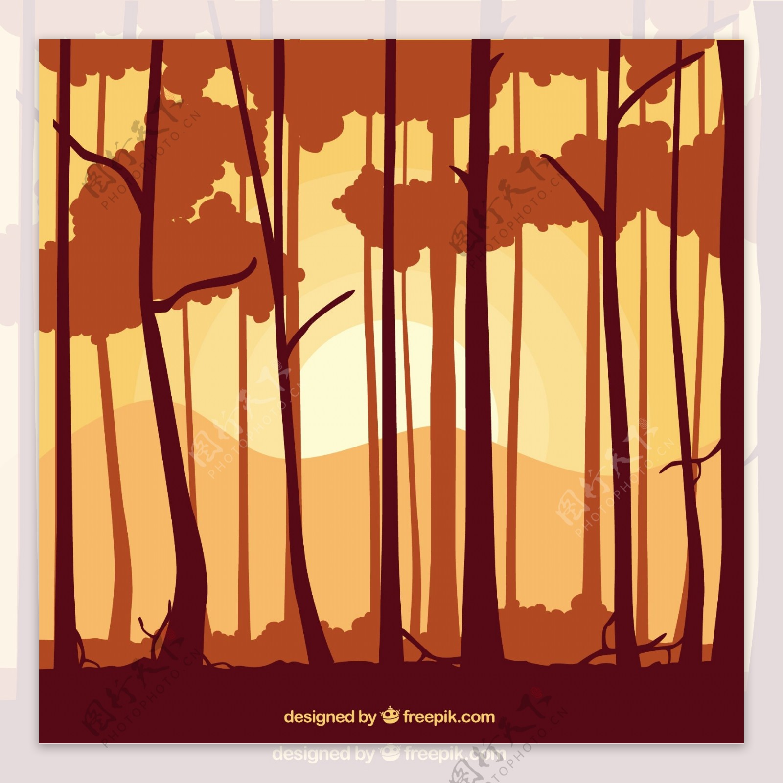 橙色色调背景的树干树的剪影