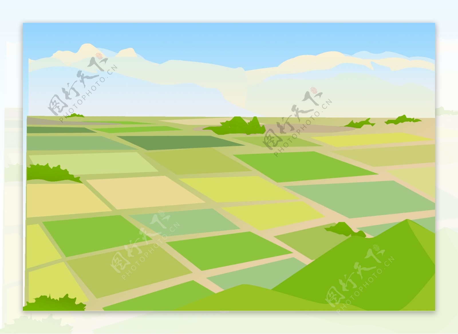 矢量插图稻田景观