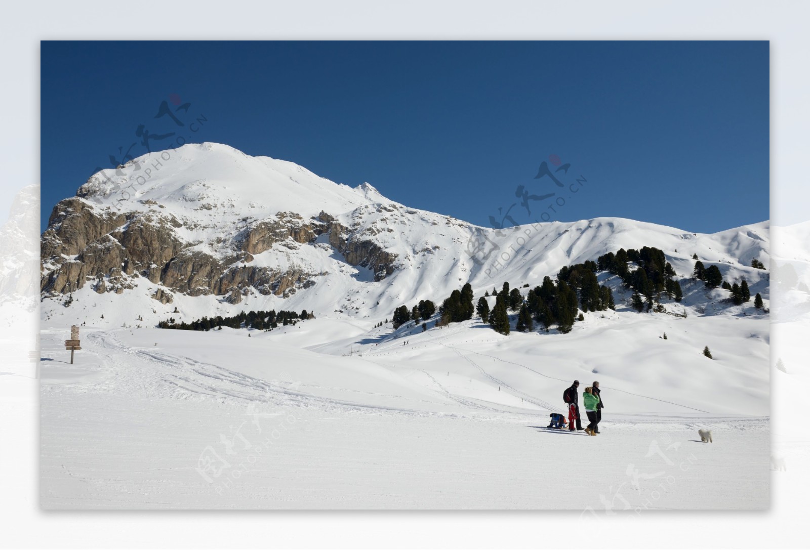 高山滑雪图片