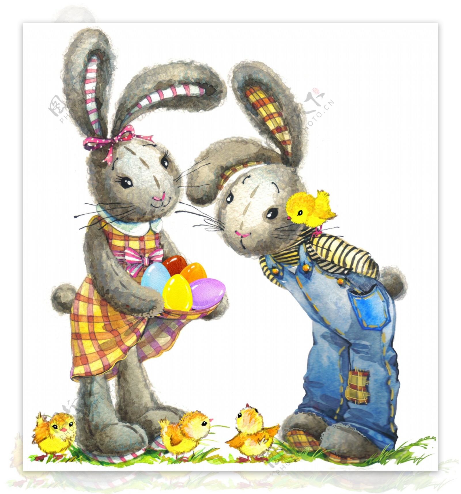 两只可爱的兔子插画