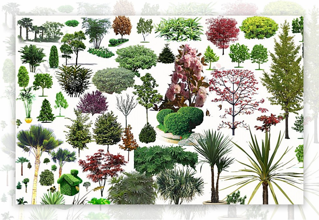 园林景观素材植物素材图片