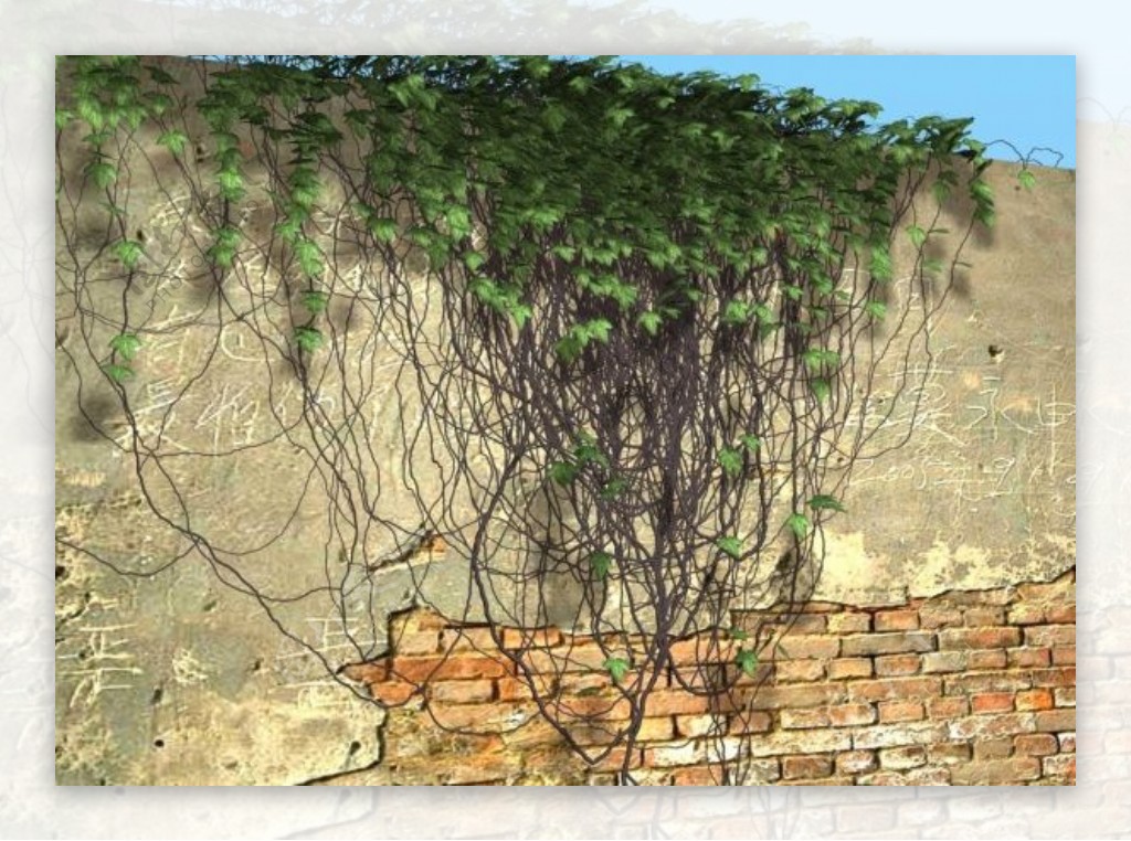 爬山虎3D植物模型