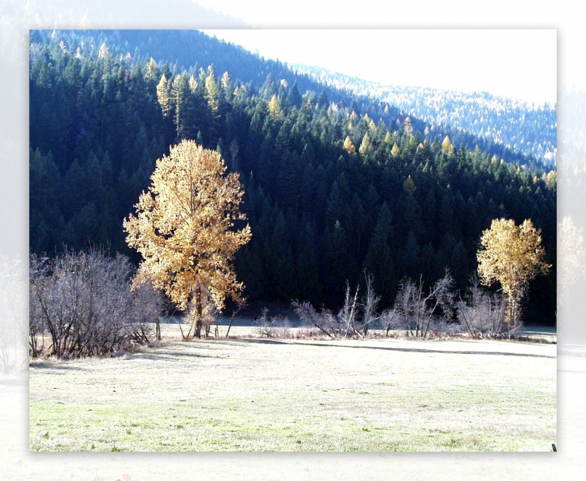 山区草木自然风景贴图素材JPG0207