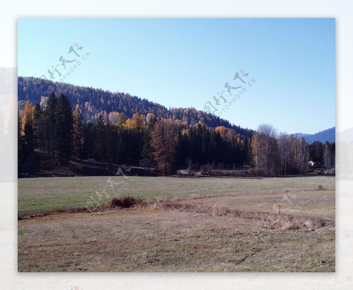 山区草木自然风景贴图素材JPG0218