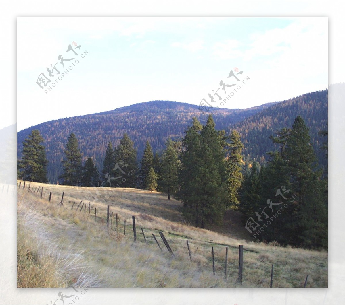 山区草木自然风景贴图素材JPG0232