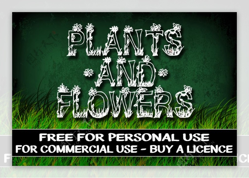 CF的植物和花卉的字体