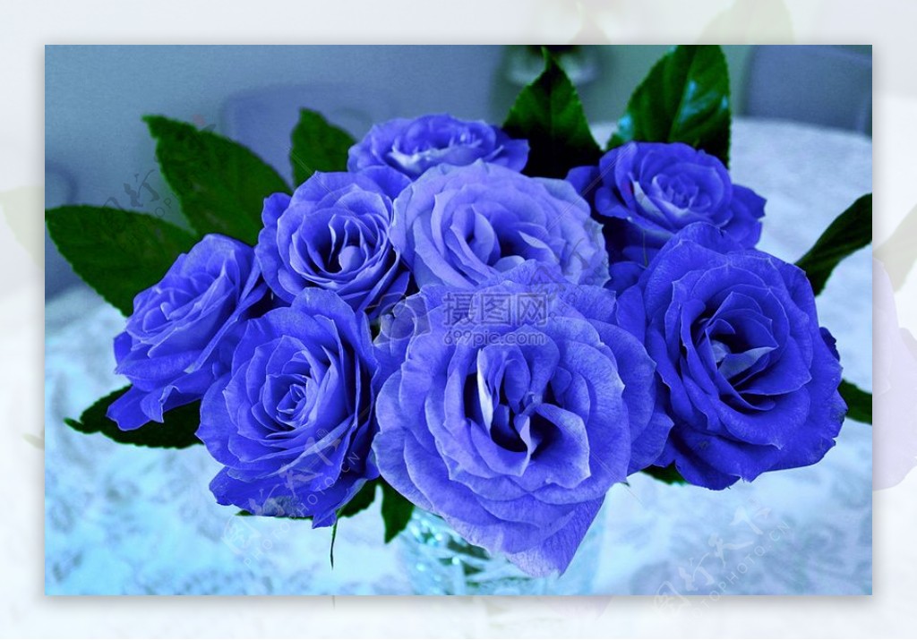 一束漂亮的蓝玫瑰