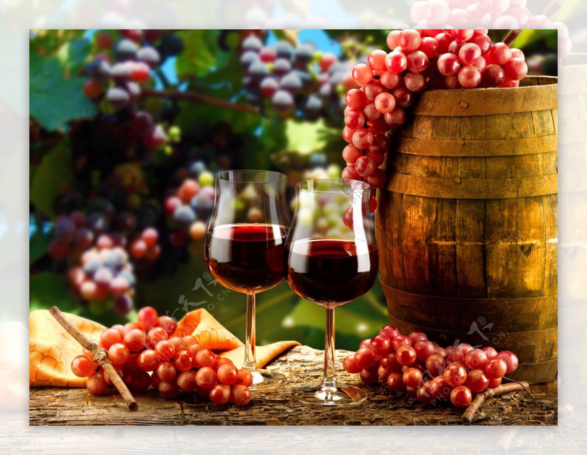 葡萄与红酒图片