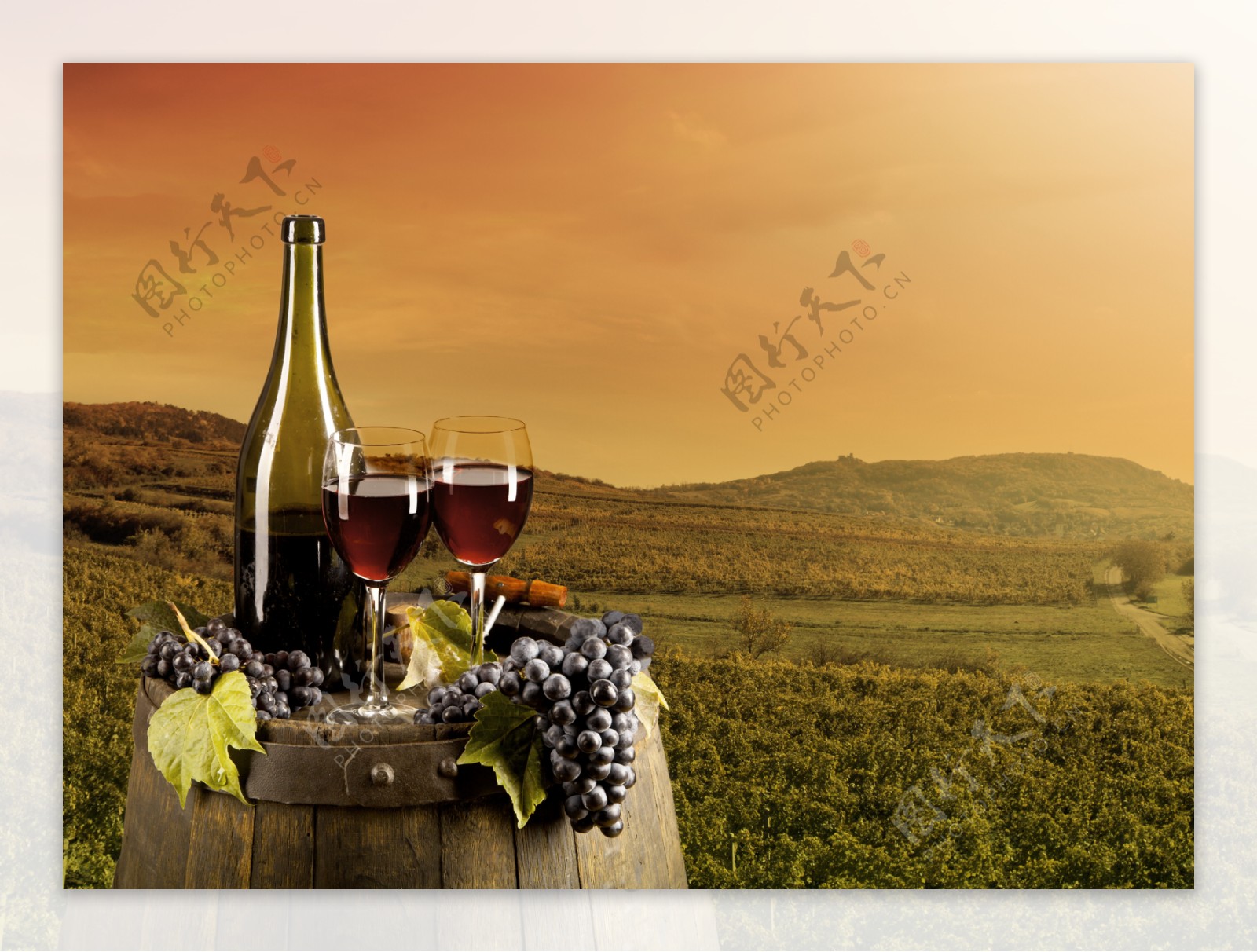 葡萄庄园与葡萄酒图片