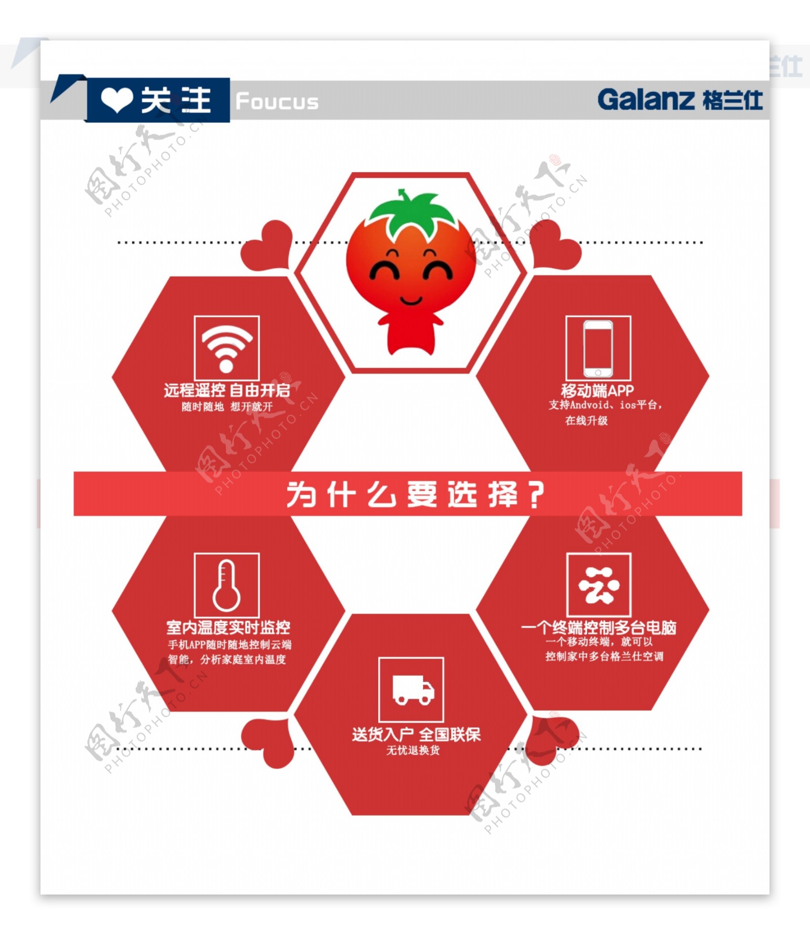 分类特点图片