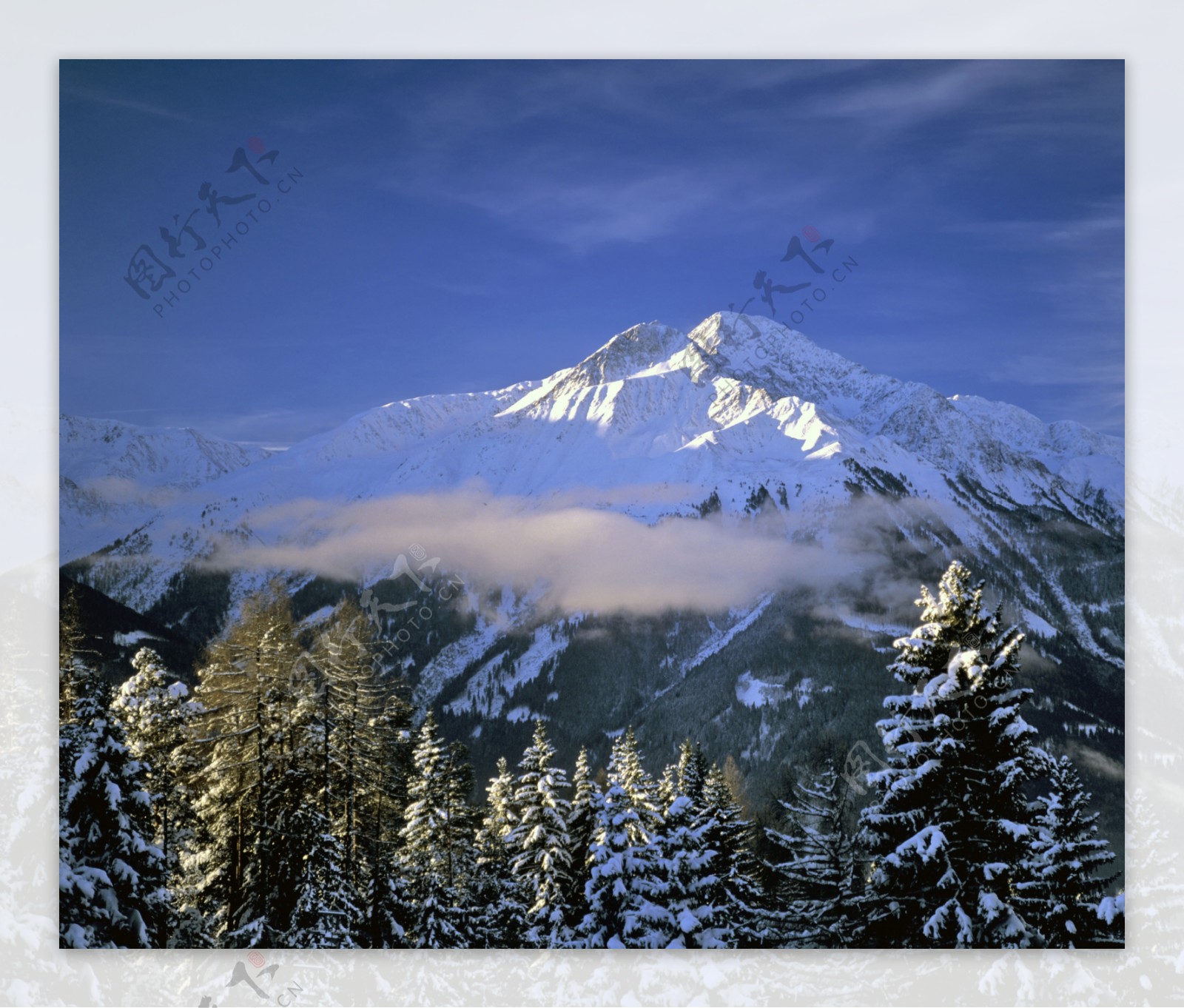 高山风景116