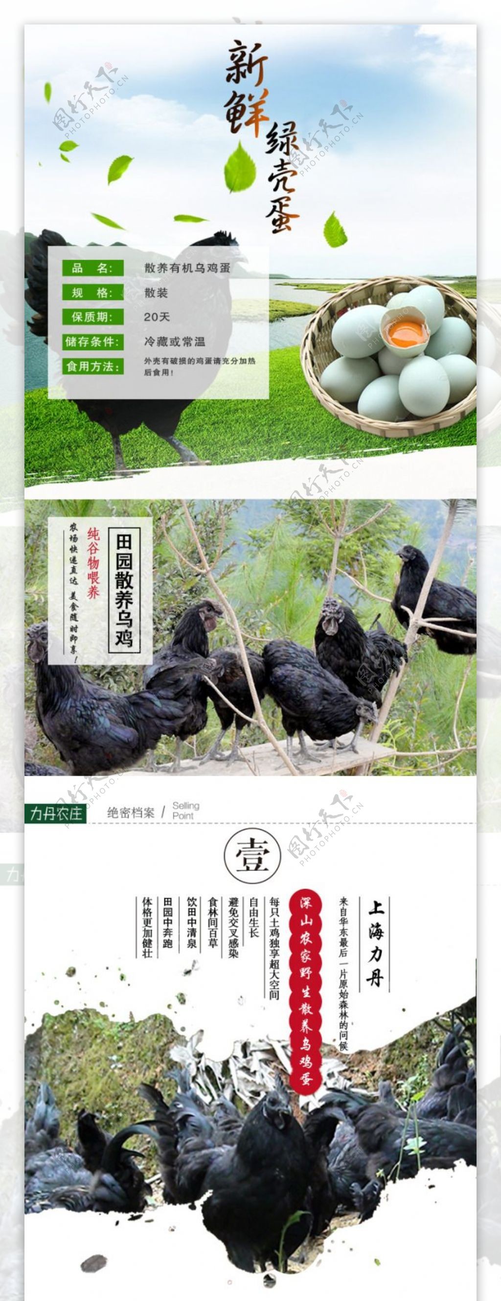 乌鸡蛋详情页
