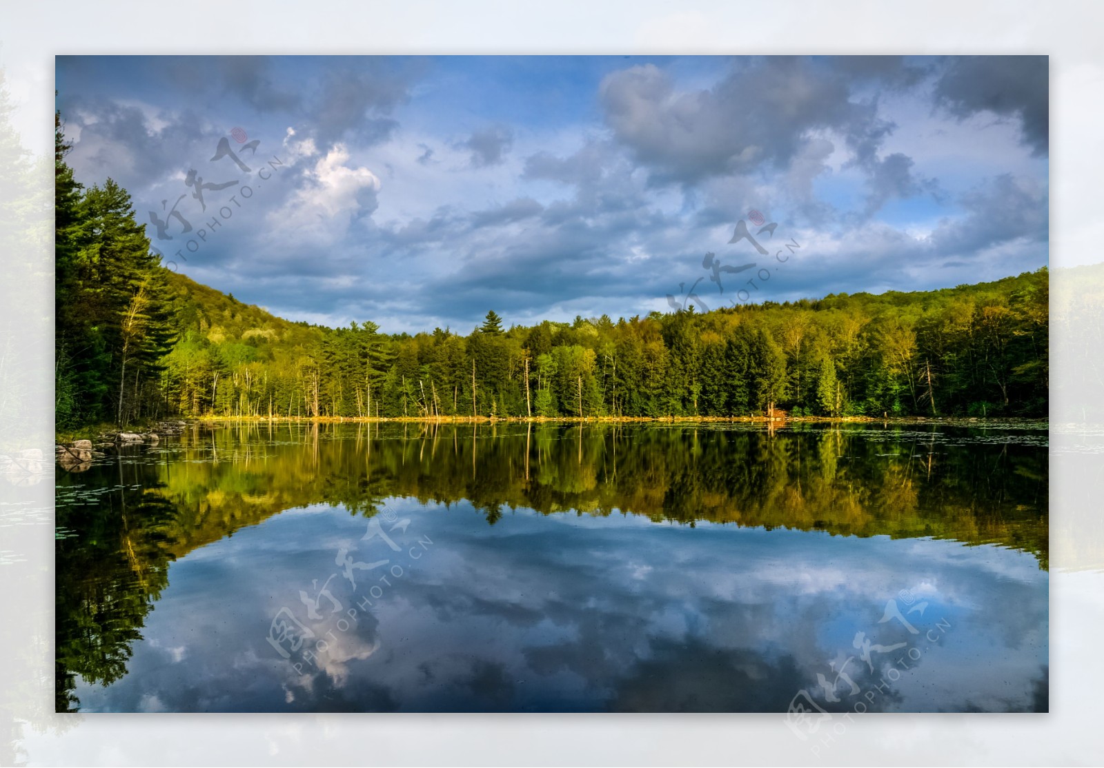 树林湖泊景色图片