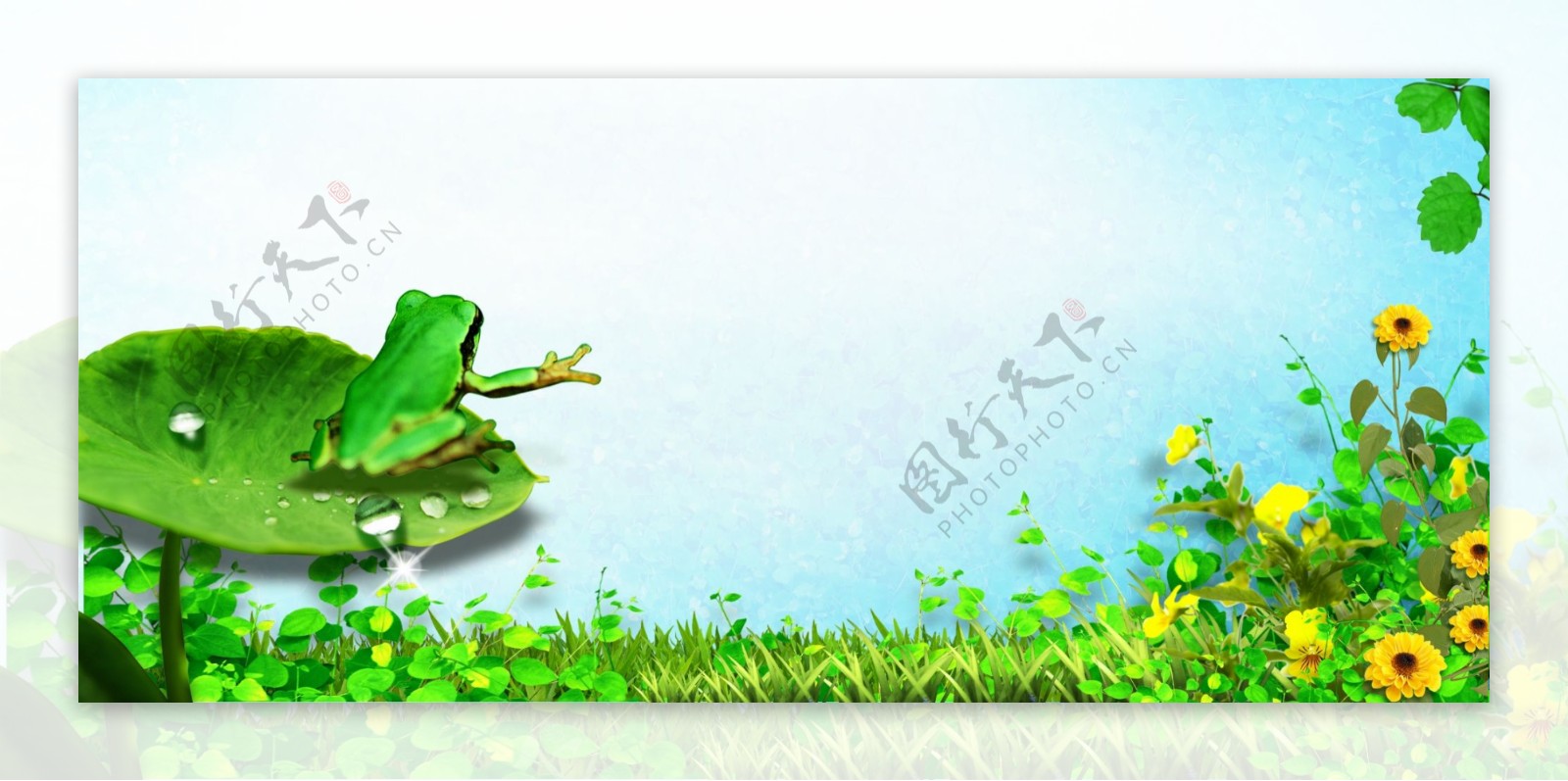 童装海报小青蛙绿色春季背景图片