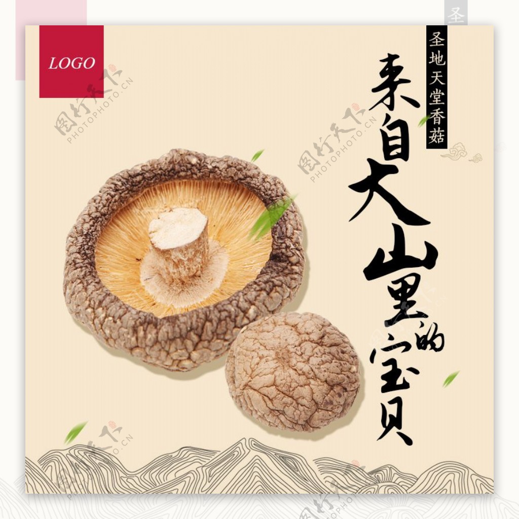 淘宝电商主图首图高原特产菌菇食品海报模板