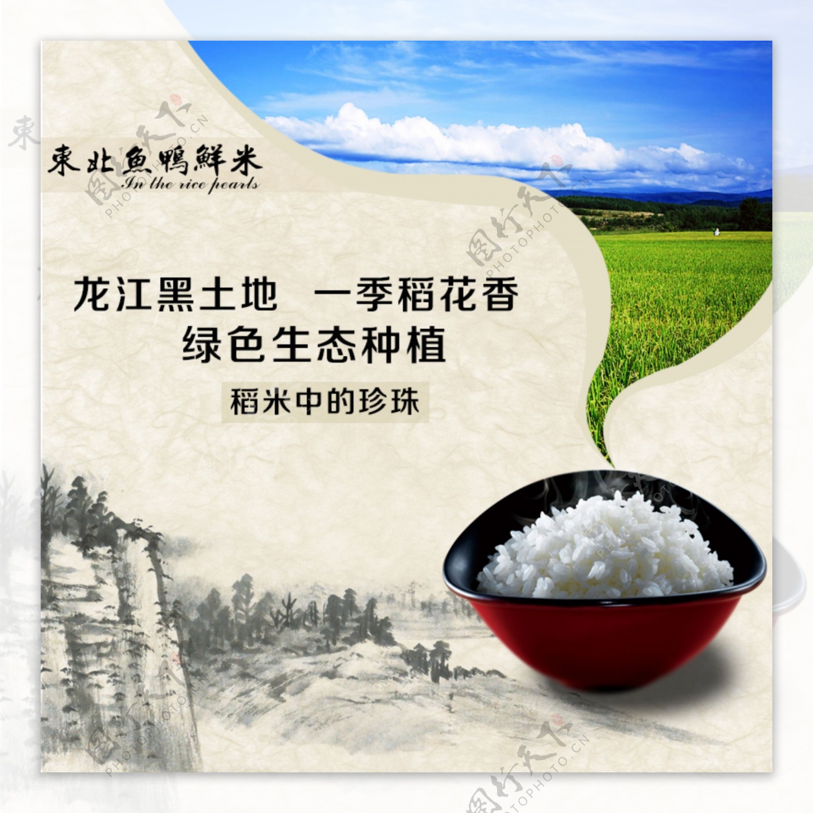 淘宝主图首图中国风大米粮食食品类