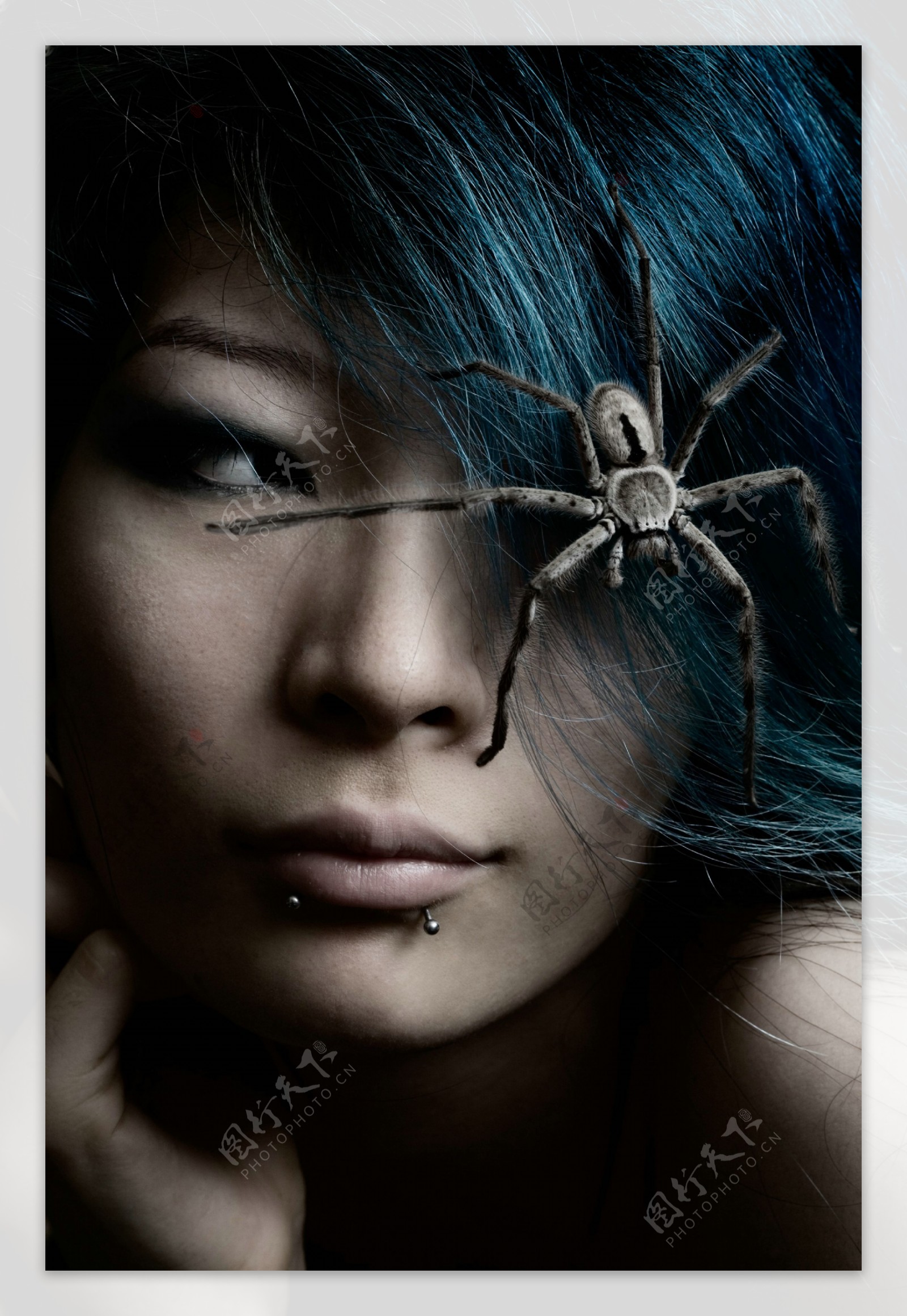 蜘蛛与美女图片