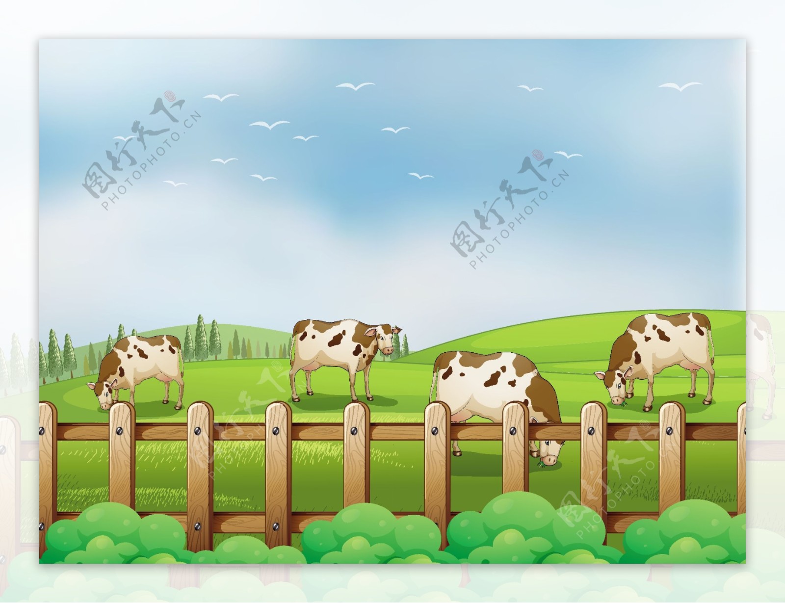 在草地上吃草的奶牛