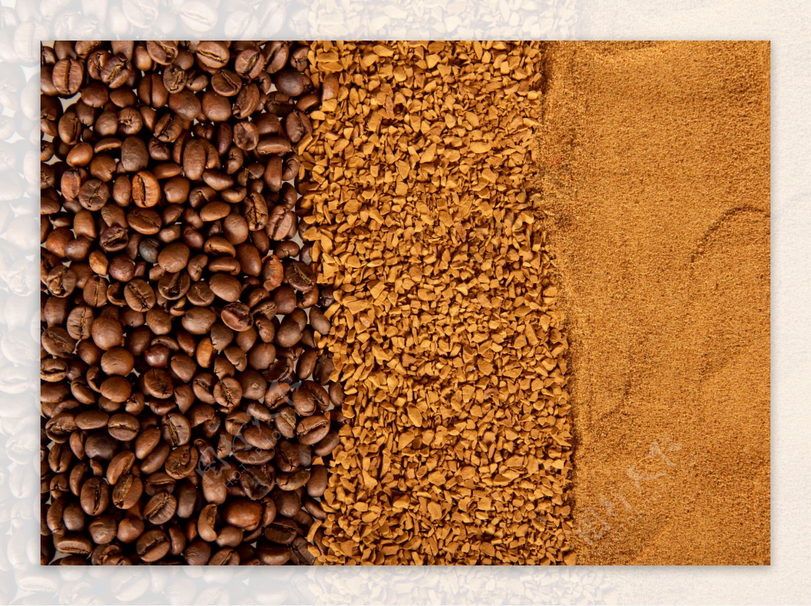 咖啡豆与咖啡末图片图片