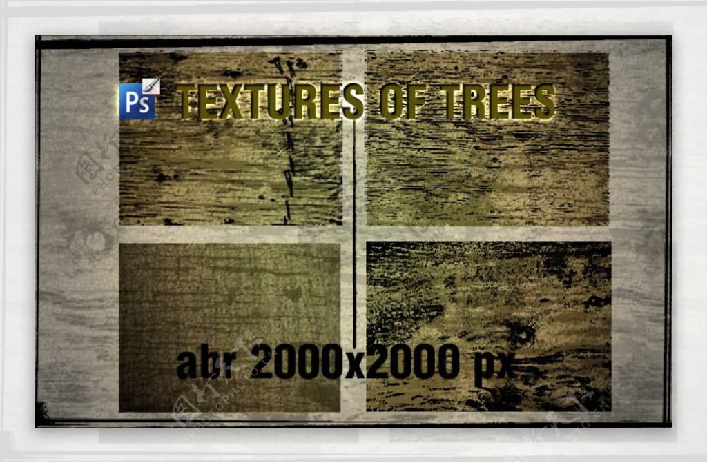 老旧树木树皮纹理效果PS笔刷素材下载