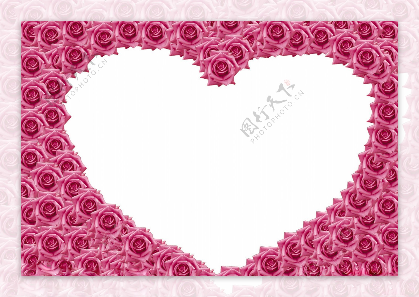 心形玫瑰花瓣图片素材-编号24400571-图行天下